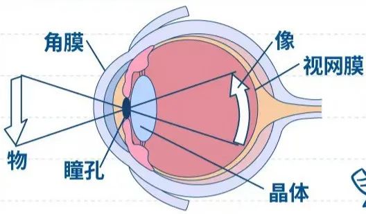 成像原理