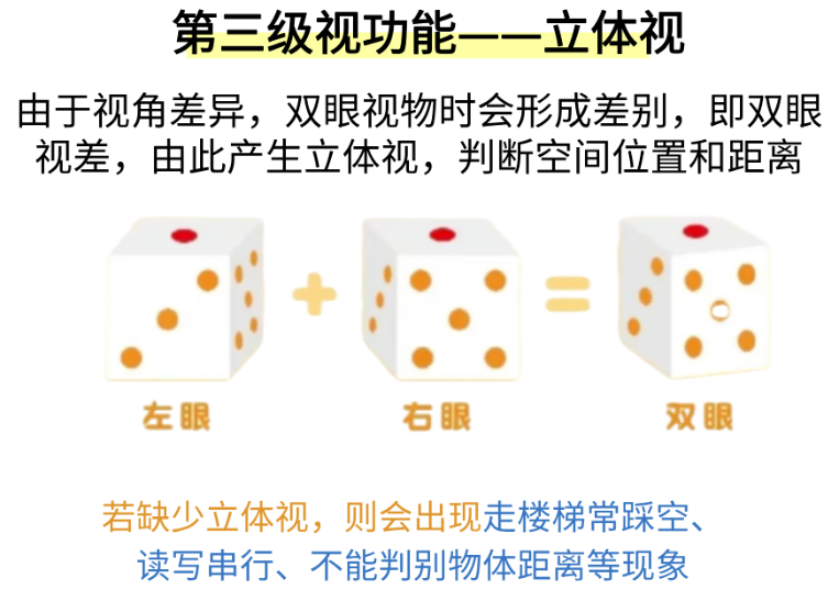 第三级视功能