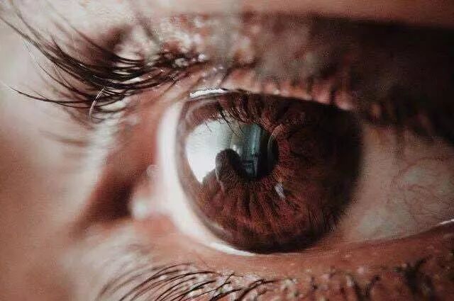 pixabay-眼睛局部