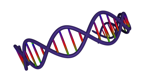 dna