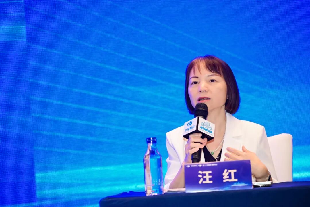 图注：汪红教授担任主持嘉宾，做点评分享